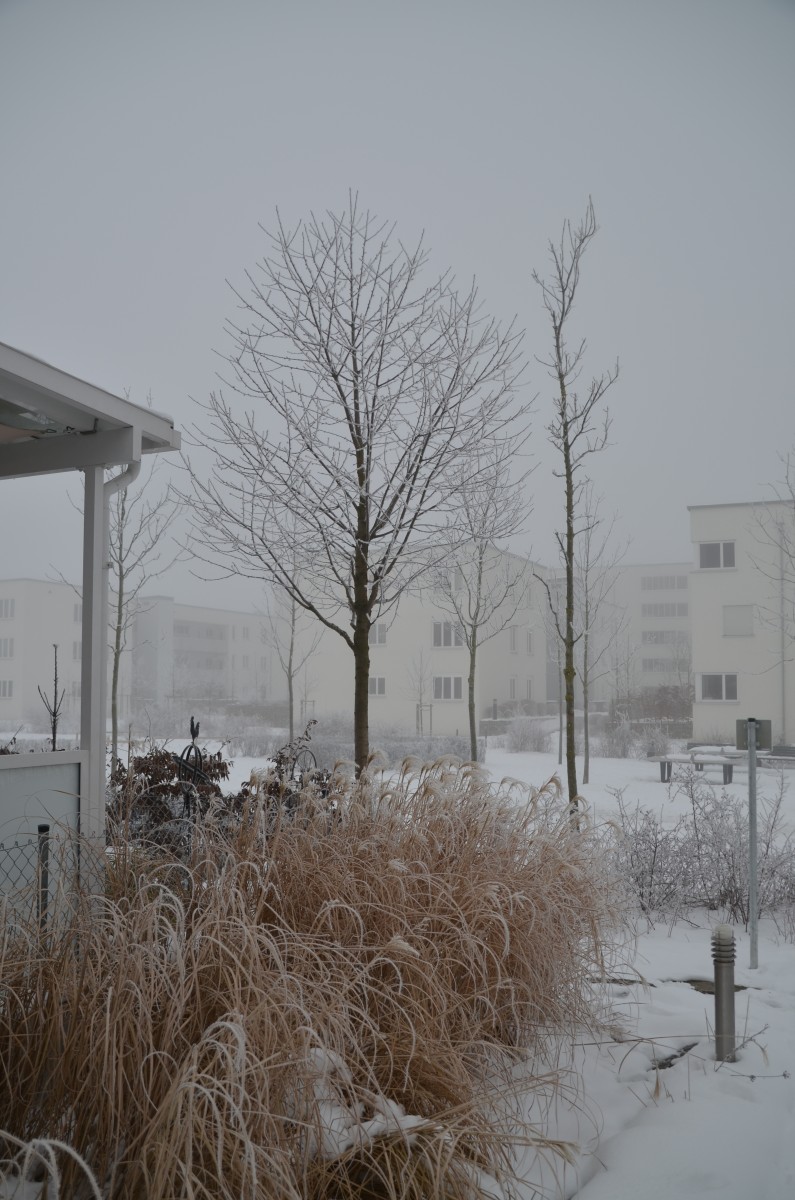 DSC_3041.jpg: 795x1200, 249k (April 15, 2013, at 09:05 PM)