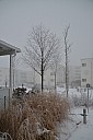 DSC_3041.jpg: 795x1200, 249k (April 15, 2013, at 09:05 PM)