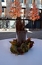 DSC_5323.jpg: 920x1400, 205k (October 13, 2014, at 11:00 AM)