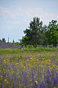 DSC_7226.jpg: 927x1392, 256k (October 13, 2014, at 11:01 AM)